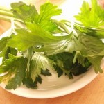 セロリ栽培の秘密♪♪これを知っていると大丈夫！！