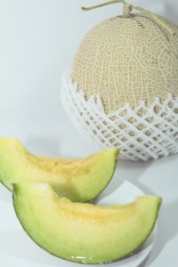 melon01